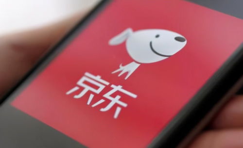 京東關(guān)聯(lián)企業(yè)布局?jǐn)?shù)字科技新領(lǐng)域，動(dòng)漫動(dòng)畫設(shè)計(jì)及數(shù)據(jù)處理成新增長(zhǎng)點(diǎn)